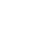 shield-alt-100x.webp